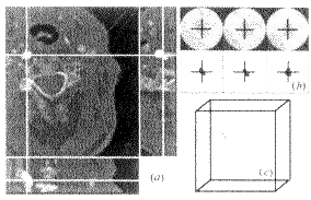 t11-2.gif (12024 bytes)