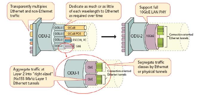 客戶(hù)側(cè)匯集的各種協(xié)議使得OTN成為高性?xún)r(jià)比通用基本結(jié)構(gòu)
