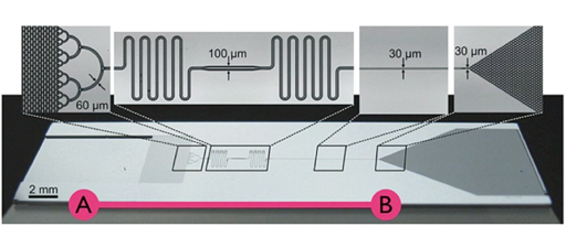 芯片實(shí)驗(yàn)室利用毛細(xì)管作用對(duì)一針孔的血液進(jìn)行處理，毛細(xì)管作用使血液樣本從A流到B，數(shù)秒內(nèi)就可得出結(jié)果。