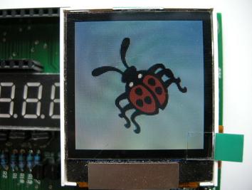   圖片上看到的水波紋用肉眼根本看不出來，這是因為數(shù)碼相機分辨率因素 