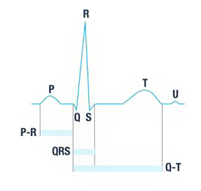 高可靠性心臟監(jiān)護儀設計詳解