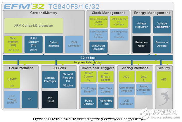 小壁虎顯示小能源足跡