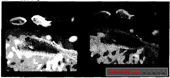 圖10 （左）LED 背光源，（右）CCFL背光源