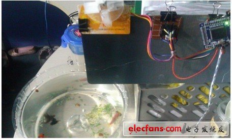 極致創(chuàng)意！DIY自動喂魚裝置（附代碼）