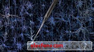 MIT和佐治亞理工學(xué)院發(fā)明了一種機(jī)械探針（中間）。它被用來創(chuàng)建大腦器官列表和接線圖，以供芯片生產(chǎn)商模擬