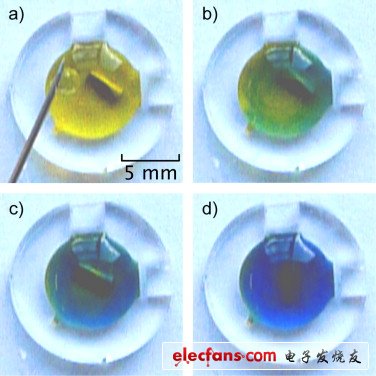 在價格不斷下滑的LED燈泡市場，價格競爭力較高的新興企業(yè)占據(jù)一定份額