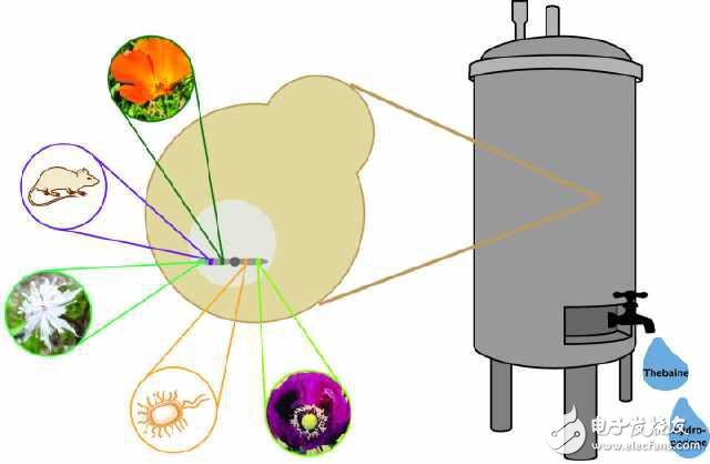 【盤點】2015十大醫(yī)療黑科技