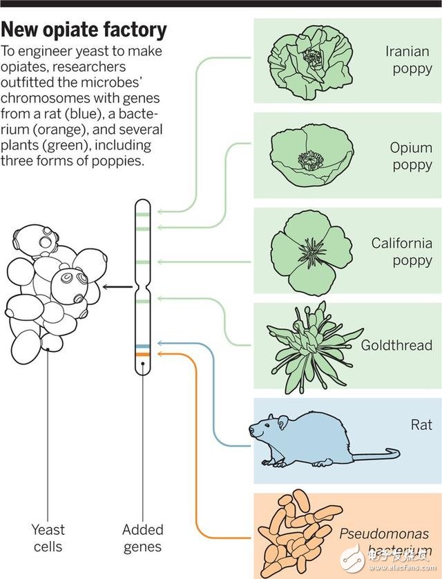 【盤點】2015十大醫(yī)療黑科技