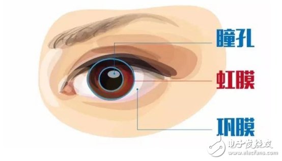 一文讓你懂獨(dú)一無二的虹膜特征識(shí)別