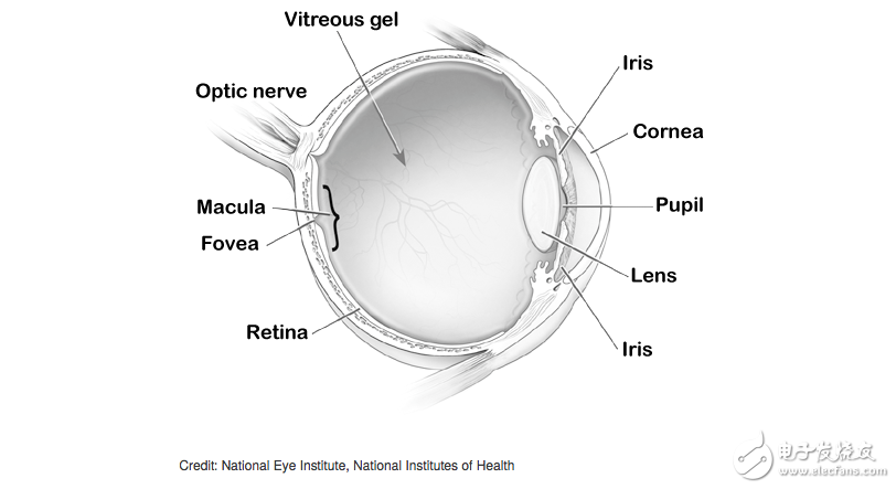 Argus II仿生眼，幫助盲人重見光明!