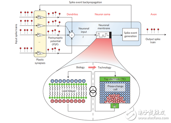 隨機相變神經(jīng)元