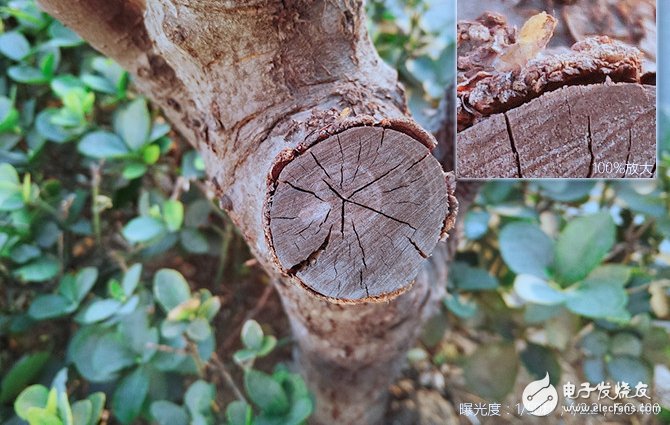 美圖T8評測：將美顏玩到極致 3299值不值得入手？