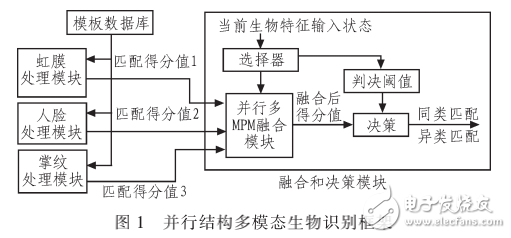 基于自適應并行結(jié)構(gòu)的多模態(tài)生物特征識別