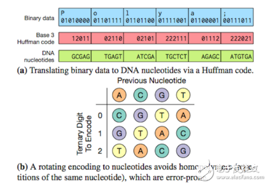 DNA存儲延續(xù)千年的承載介質(zhì)，可將數(shù)據(jù)壓縮至方糖大小