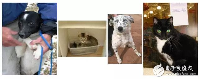 對圖像處理和卷積神經(jīng)網(wǎng)絡(luò)架構(gòu)的案例分析和概念理解