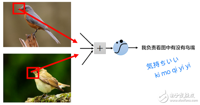 卷積神經(jīng)網(wǎng)絡(luò)CNN圖解