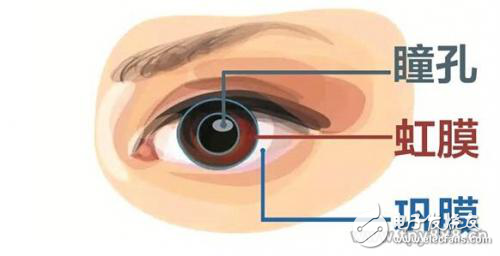 比指紋識別還安全，虹膜識別卻被看作“雞肋”？