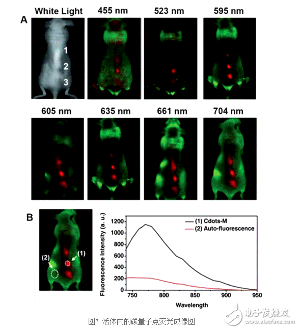 碳量子點的主要應(yīng)用