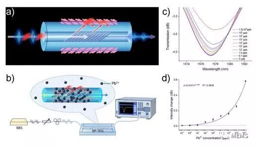 研究團隊成功研制黑磷光纖傳感器 實現(xiàn)對重金屬離子的超靈敏檢測