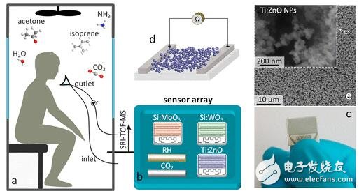 經(jīng)濟(jì)型輕量級氣體傳感器可在最短時(shí)間嗅出災(zāi)難幸存者