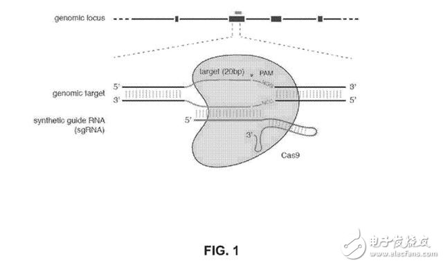 足以改變世界15項(xiàng)發(fā)明專利盤點(diǎn)