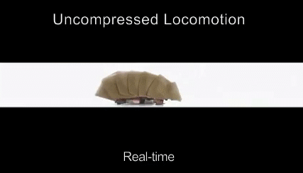 研究人員借鑒蟑螂靈活的外骨骼結(jié)構(gòu)，制造出一款機器人雛形