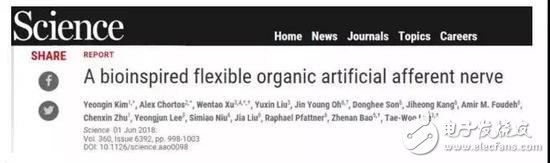 人造感覺神經(jīng)：以類似于生物神經(jīng)的方式發(fā)揮作用，實(shí)現(xiàn)“機(jī)器觸覺”的一大進(jìn)步