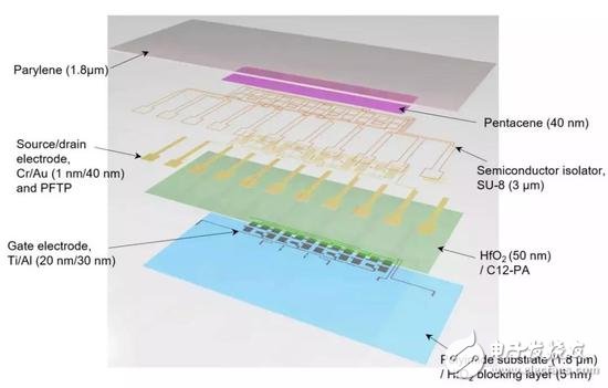 人造感覺神經(jīng)：以類似于生物神經(jīng)的方式發(fā)揮作用，實(shí)現(xiàn)“機(jī)器觸覺”的一大進(jìn)步